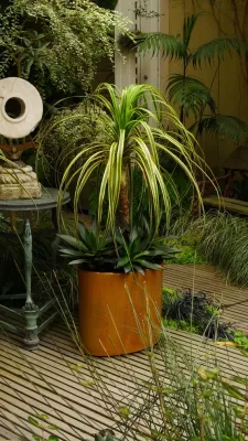 Garden Fantasia - Landscape Design in San Francisco, CA