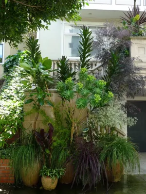 Vallejo Street — Landscape Design project by Garden Fantasia