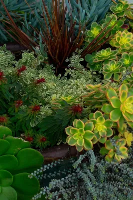 Garden Fantasia - Landscape Design in San Francisco, CA