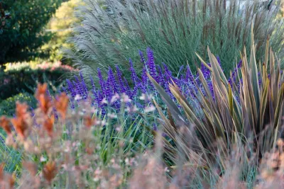 Garden Nest Residential Landscape - Irrigation System Repair in Orinda, CA