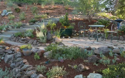 Orinda 5 by Garden Nest Residential Landscape