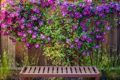Water Wise Garden by Garden Nest Residential Landscape