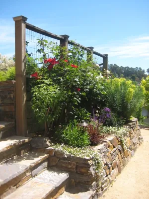 San Rafael 2 — Landscape Design project by Garden Nest Residential Landscape in San Rafael