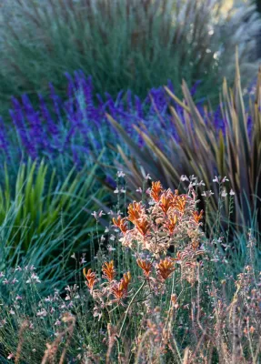 Garden Nest Residential Landscape - Irrigation System Repair in Orinda, CA