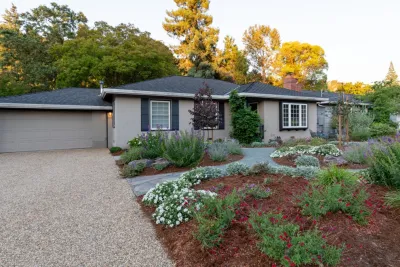 No Mow -Low Water Use / Drought Resistant — Landscape Design project by Garden Nest Residential Landscape in Walnut Creek