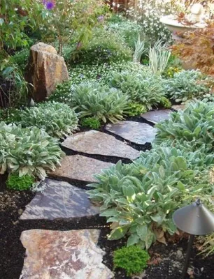 San Rafael — Landscape Design project by Garden Nest Residential Landscape in San Rafael