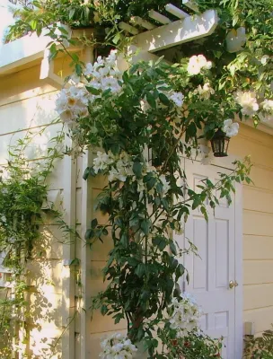 Orinda by Garden Nest Residential Landscape