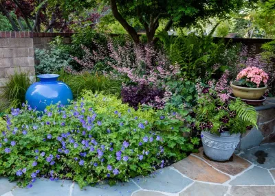 Garden Nest Residential Landscape - Irrigation System Repair in Orinda, CA