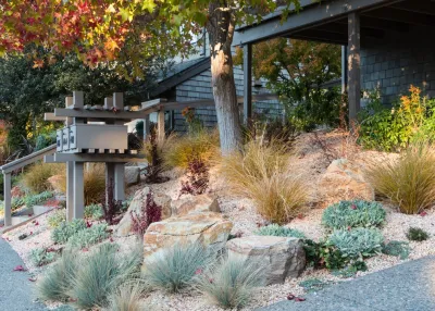 Orinda 6 — Landscape Design project by Garden Nest Residential Landscape in Orinda