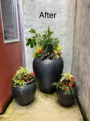 Garden Revelry - Garden Remodeling in Seattle, WA
