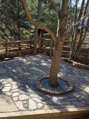 Davids Landscape & Maintenance - Landscape Construction in Reisterstown, MD