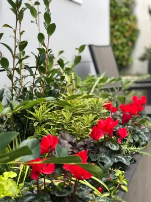 Garden Revelry - Garden Remodeling in Seattle, WA
