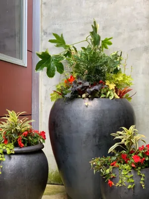 Garden Revelry - Garden Remodeling in Seattle, WA