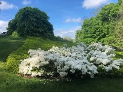 seaside bluff restoration — Landscape Design project by Garden Vignettes