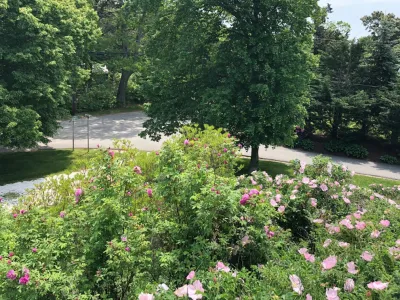 Garden Vignettes - Landscape Design in South Shore Massachusetts, MA