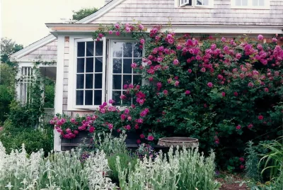 Garden Designs — Landscape Design project by Garden Vignettes