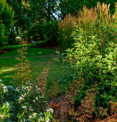 Gardendigs - Garden Remodeling in Tacoma, WA