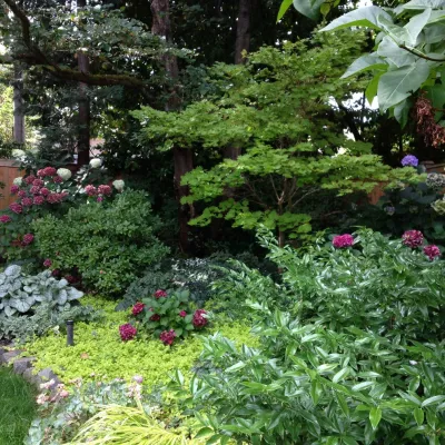 Gardendigs - Garden Remodeling in Tacoma, WA