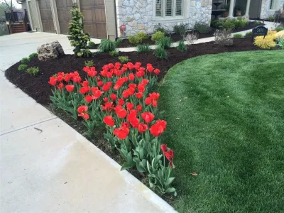 Bold Outdoors - Landscape Construction in Gardner, KS