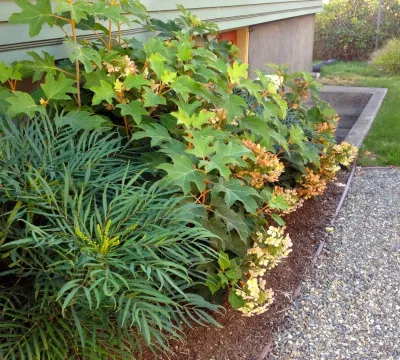 Gardendigs - Garden Remodeling in Tacoma, WA