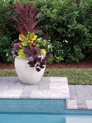 Poolside Pleasure — Landscape Design project by Gardening Angel