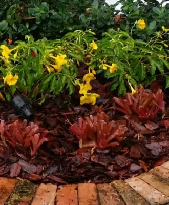 Welcoming Water — Landscape Design project by Gardening Angel