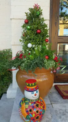 Happy Holiday Containers — Landscape Design project by Gardening Angel