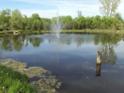 Designer Landscapers - Landscape Construction in Dexter, MI