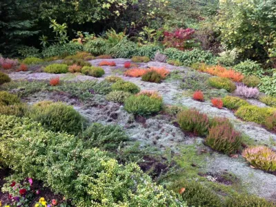 Gardening GaGa - Tree & Shrub Care in Seattle, WA