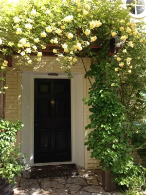 Gardening GaGa - Tree & Shrub Care in Seattle, WA