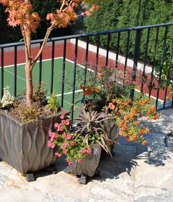 Magnolia Garden — Landscape Design project by Gardening GaGa
