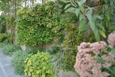Gardening GaGa - Tree & Shrub Care in Seattle, WA