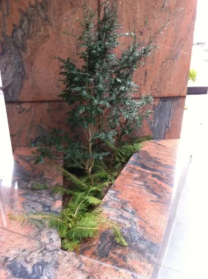 Gardening GaGa - Tree & Shrub Care in Seattle, WA