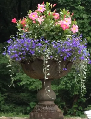 Gardening Gals LLC - Landscape Design in Wilton, CT