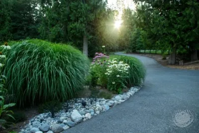Michelle's Entry Landscape — Landscape Design project by Gardens ALIVE Design in Duvall