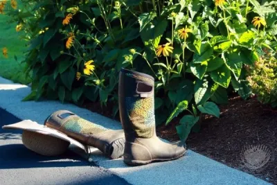 Gardens ALIVE Design - Garden Remodeling in Seattle, WA