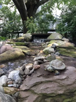 Down To Earth Lawn & Landscape LLC - Landscape Construction in Dagsboro, DE