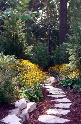 Drescher Landscaping, Inc - Landscape Construction in Darien, IL