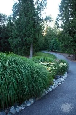 Gardens ALIVE Design - Garden Remodeling in Seattle, WA