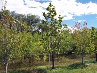Earthpower Landscape and Patio - Landscape Construction in Fort Collins, CO
