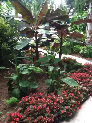 EcoUrban Landscaping - Landscape Construction in New Orleans, LA