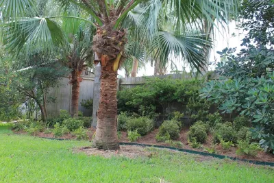EcoUrban Landscaping - Landscape Construction in New Orleans, LA