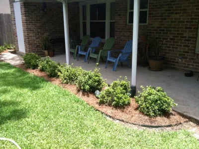 Lakeview Louisiana Understory Landscape — Landscape Construction project by EcoUrban Landscaping
