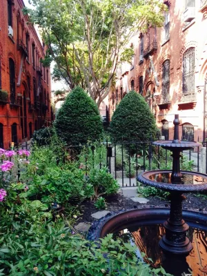 Edible Petals - Landscape Construction in Brooklyn, NY