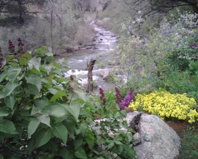 Boulder Lawns - Landscape Construction in Boulder, CO