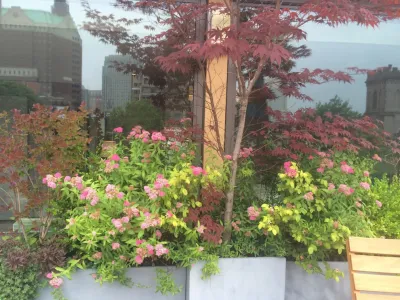 Edible Petals - Landscape Construction in Brooklyn, NY