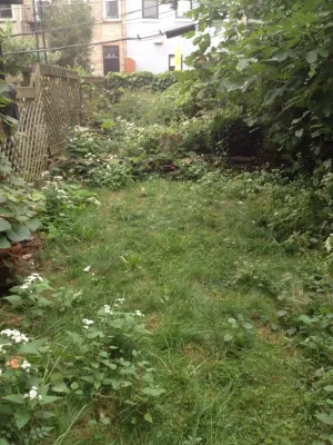 Edible Petals - Landscape Construction in Brooklyn, NY
