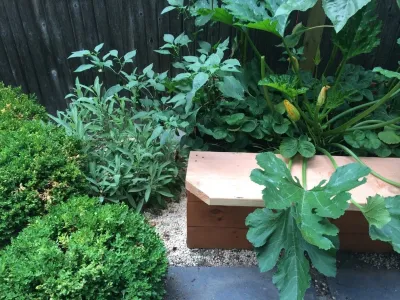 Edible Petals - Landscape Construction in Brooklyn, NY