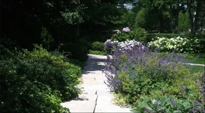 Eiserman & Associates - Landscape Construction in Libertyville, IL