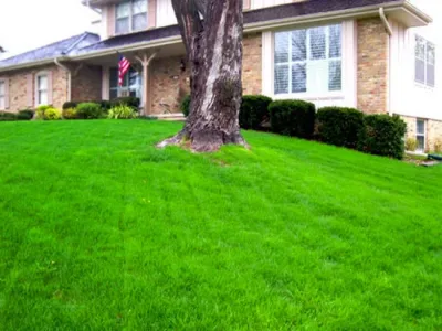 Lawns — Landscape Construction project by Emerald Lawn & Landscape